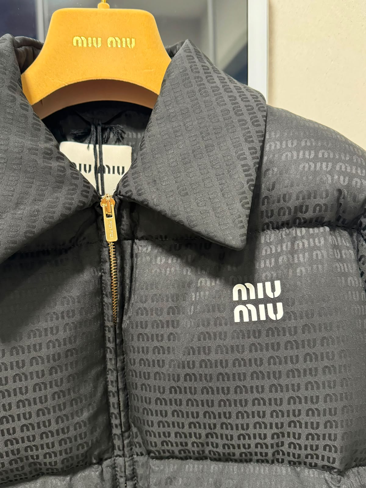Miu Miu
